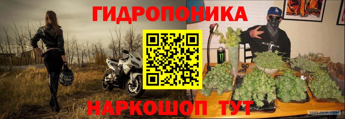 Канабис THC 21%  Вход с VPN  Канабис THC 21%  Конопля Amnesia  Сочи  Конопля семена 